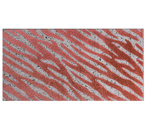 decoro zebrato su piastrelle, ceramica siciliana